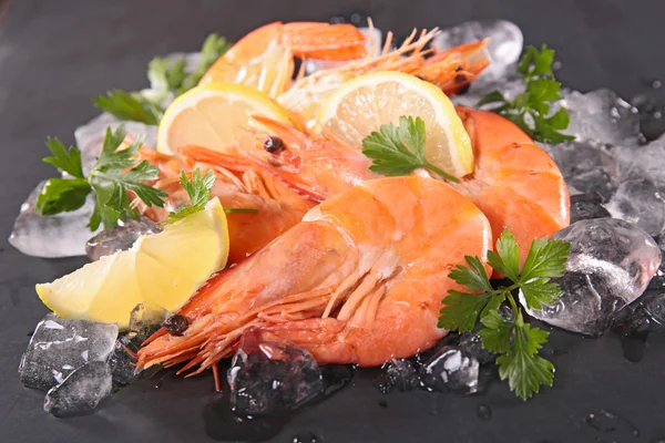 Shrimps with ice cubes — Stock Photo, Image