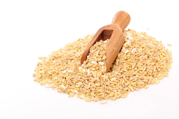 大麦籽粒和勺 — 图库照片