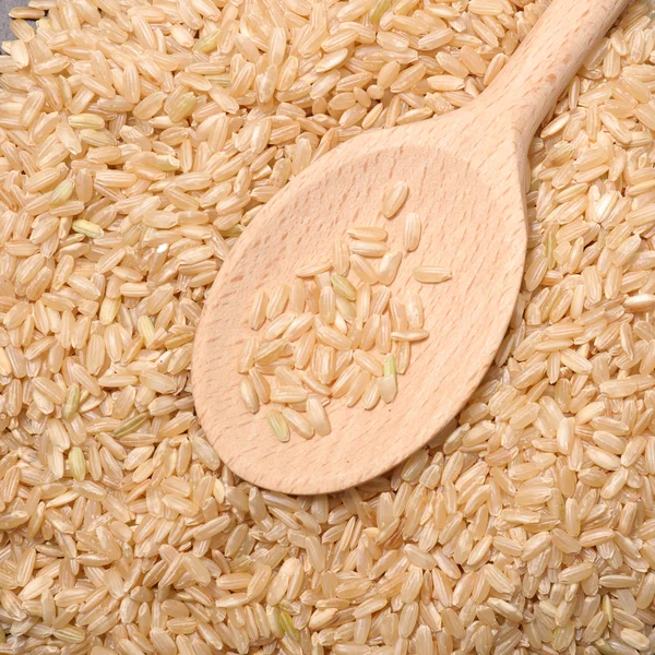 Syrové hnědá rýže — Stock fotografie