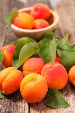 Taze tatlı kayısı