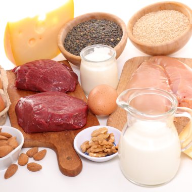 protein kaynakları ürünler