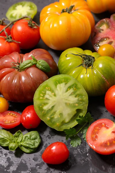 Andere variëteit van tomaten — Stockfoto