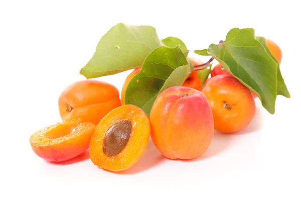 Albaricoques y hojas dulces crudos — Foto de Stock