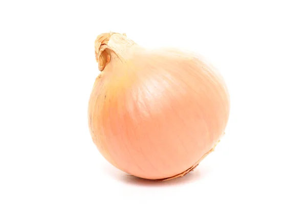 Fresh raw onion — Stock Photo, Image