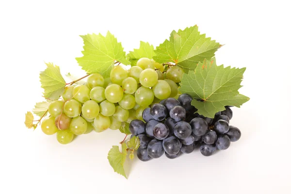 Fekete és zöld szőlő — Stock Fotó
