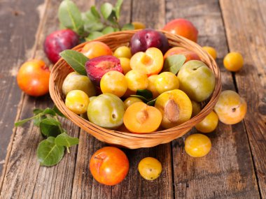 renkli Erik çeşitleri