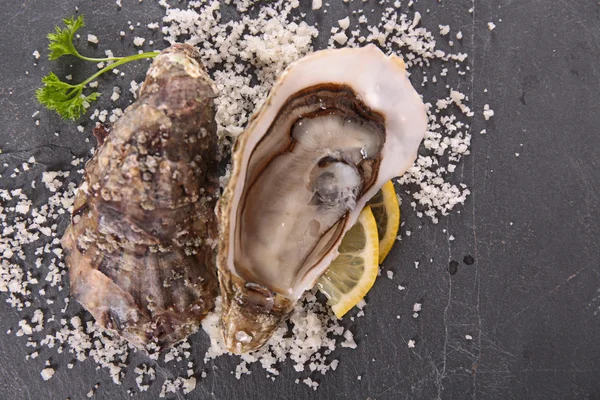 Fresh salty oysters — Stock Photo, Image