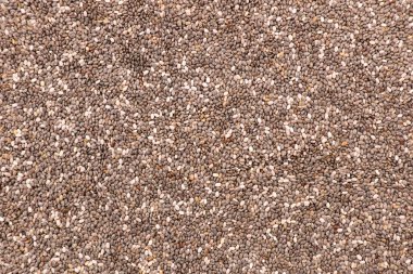 chia tohumu arkaplan üstü görünümü