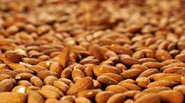 Badem yavaş çekimde düşüyor 