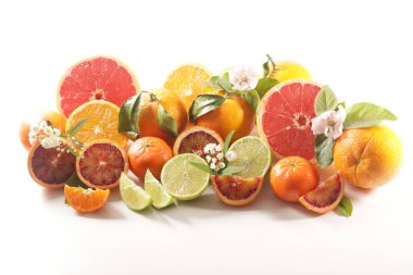 Beyaz arka planda izole edilmiş çeşitli narenciye meyveleri