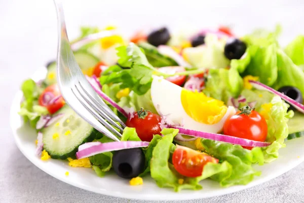 Gemüsesalat Und Gabel — Stockfoto