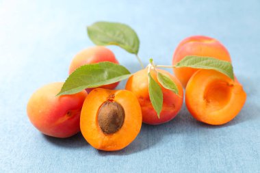 Taze kayısı ve mavi arka planda yapraklar