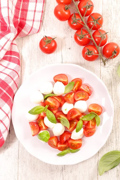 Tomatensalat Mit Mozzarella Und Basilikum — Stockfoto