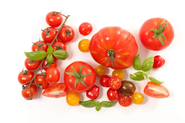 Variedad Tomates Con Albahaca Sobre Fondo Blanco —  Fotos de Stock