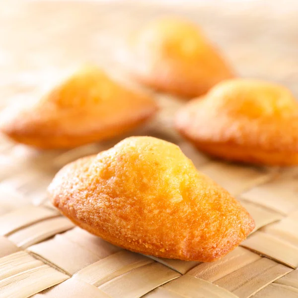 Close Madeleine Cake — Stock Photo, Image