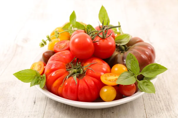 Verscheidenheid Van Kleurrijke Tomaat Basilicum — Stockfoto