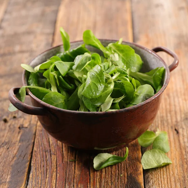 Ensalada Maíz Verde Hojas Lechuga Cordero — Foto de Stock