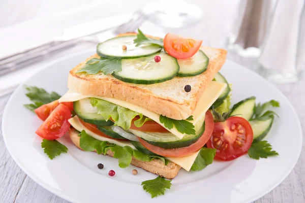 Sandwich da vicino — Foto Stock