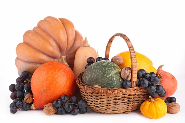 Assortment of pumpkin — Stock Photo, Image