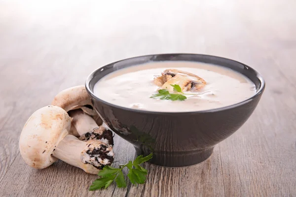 Zuppa di funghi freschi — Foto Stock