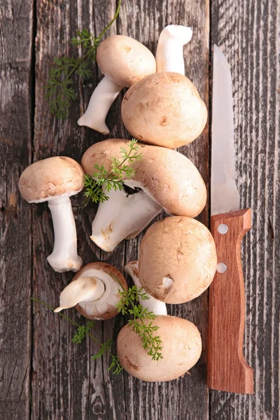 Frische Champignons — Stockfoto