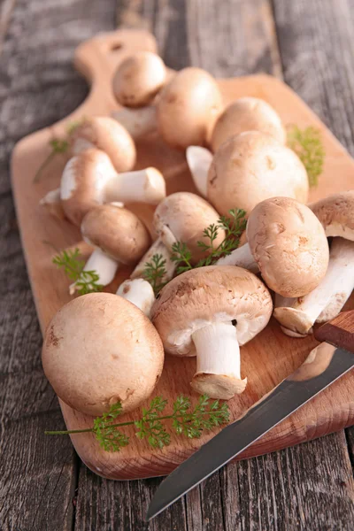 新鲜香菇 — 图库照片