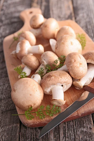 Frische Champignons — Stockfoto