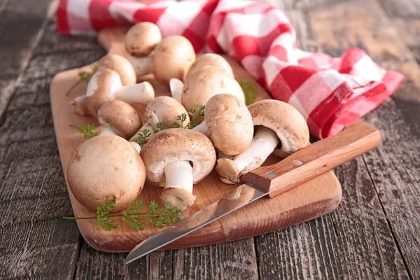 Verse champignons — Stockfoto