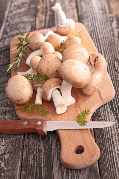 Frische Champignons — Stockfoto