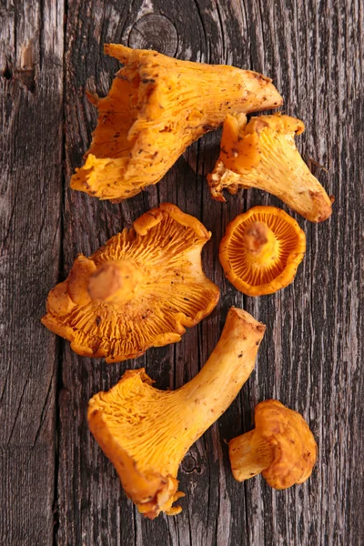 Verschillende paddestoelen — Stockfoto