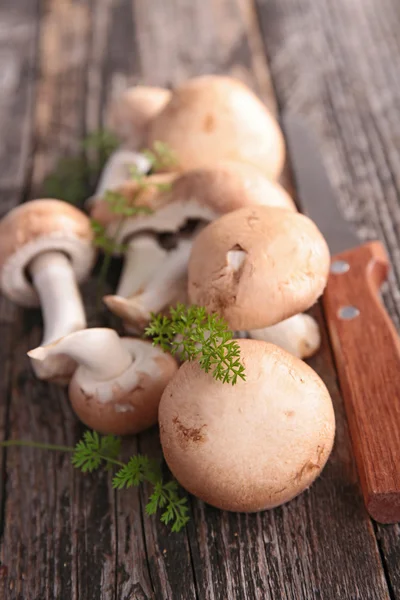 Fresh mushrooms — Stock Photo, Image