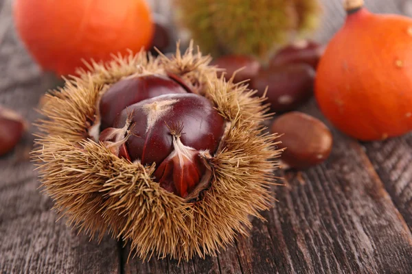 Fresh Chestnuts — Stock Photo, Image