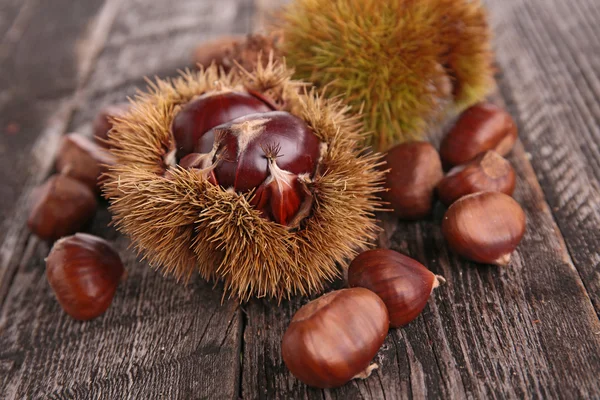 Fresh Chestnuts — Stock Photo, Image