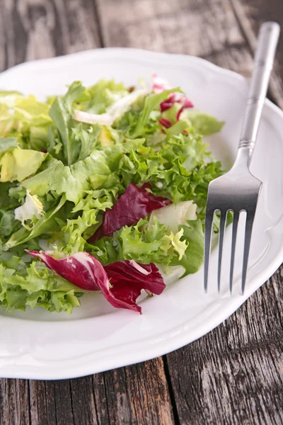 Fräsch sallad — Stockfoto