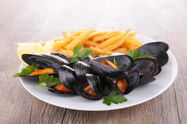 Gekookte mossel — Stockfoto