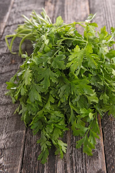 Green parsley — Stock Photo, Image