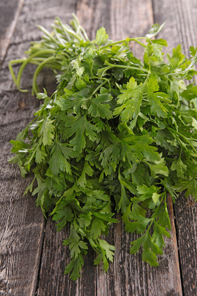 Green parsley