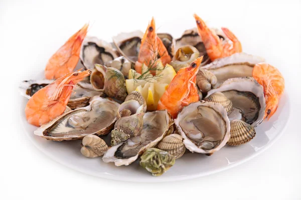 Close up de prato de frutos do mar — Fotografia de Stock
