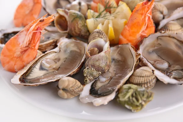 Close up of seafood platter — Stock Photo, Image