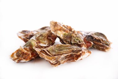 İstiridye, deniz ürünleri