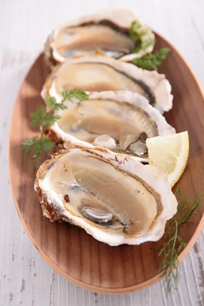 Frische Austern auf Holztisch — Stockfoto