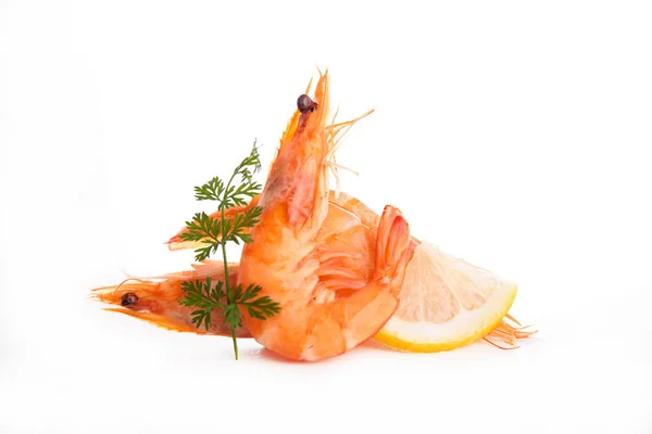 Fresh shrimp — Stock Photo, Image