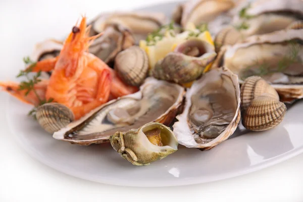 Seafood — Stock Photo, Image