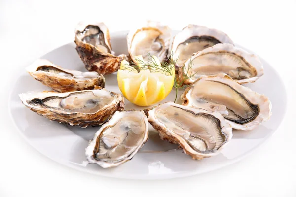 Oysters on plate close up — Stock Photo, Image