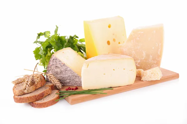 Sortiment an Käse — Stockfoto