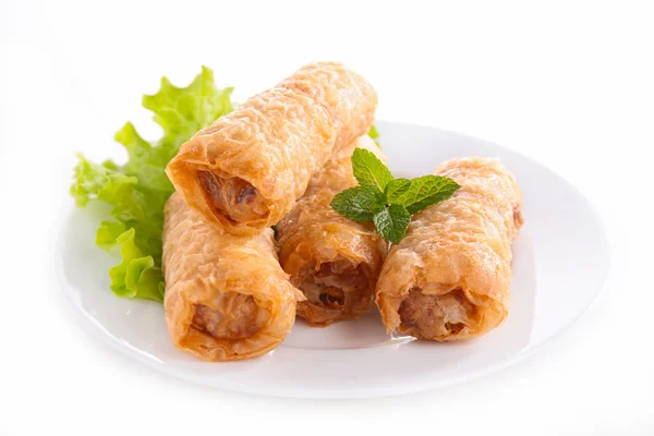 Spring roll — Stock Photo, Image