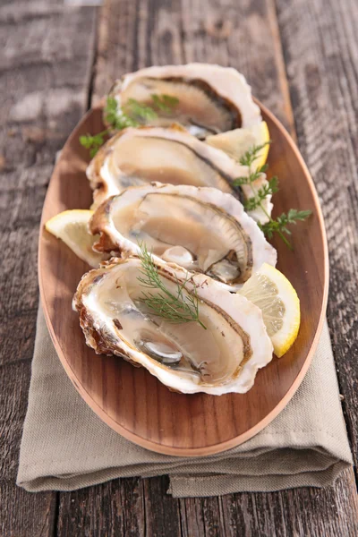 新鲜美味的牡蛎 — 图库照片