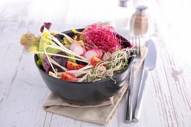 Sebze salatası filizi ile