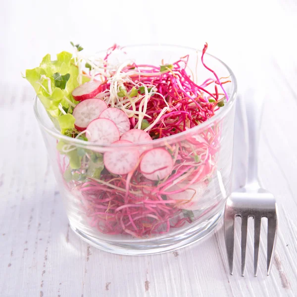 Salade de germes en boîte de verre — Photo