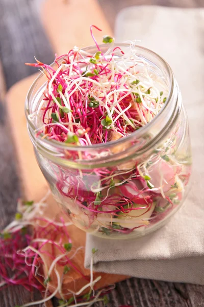 Spruiten salade in glas kunnen — Stockfoto